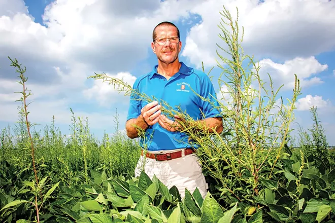 Aaron Hager, University of Illinois weed scientist, recommends pulling weeds when feasible and says that herbicides alone won't work in the long term. - PHOTO BY L. BRIAN STAUFFER AND COURTESY OF UNIVERSITY OF ILLINOIS.