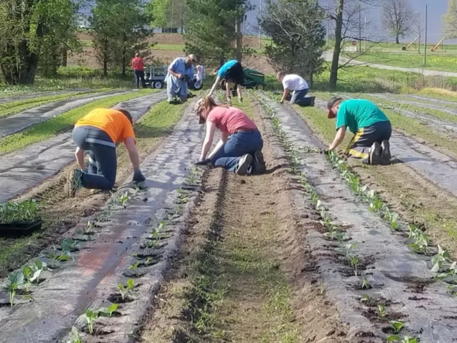 Scaling up the farmers market