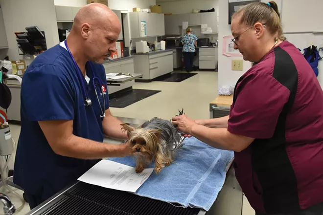 Not enough vets for pets