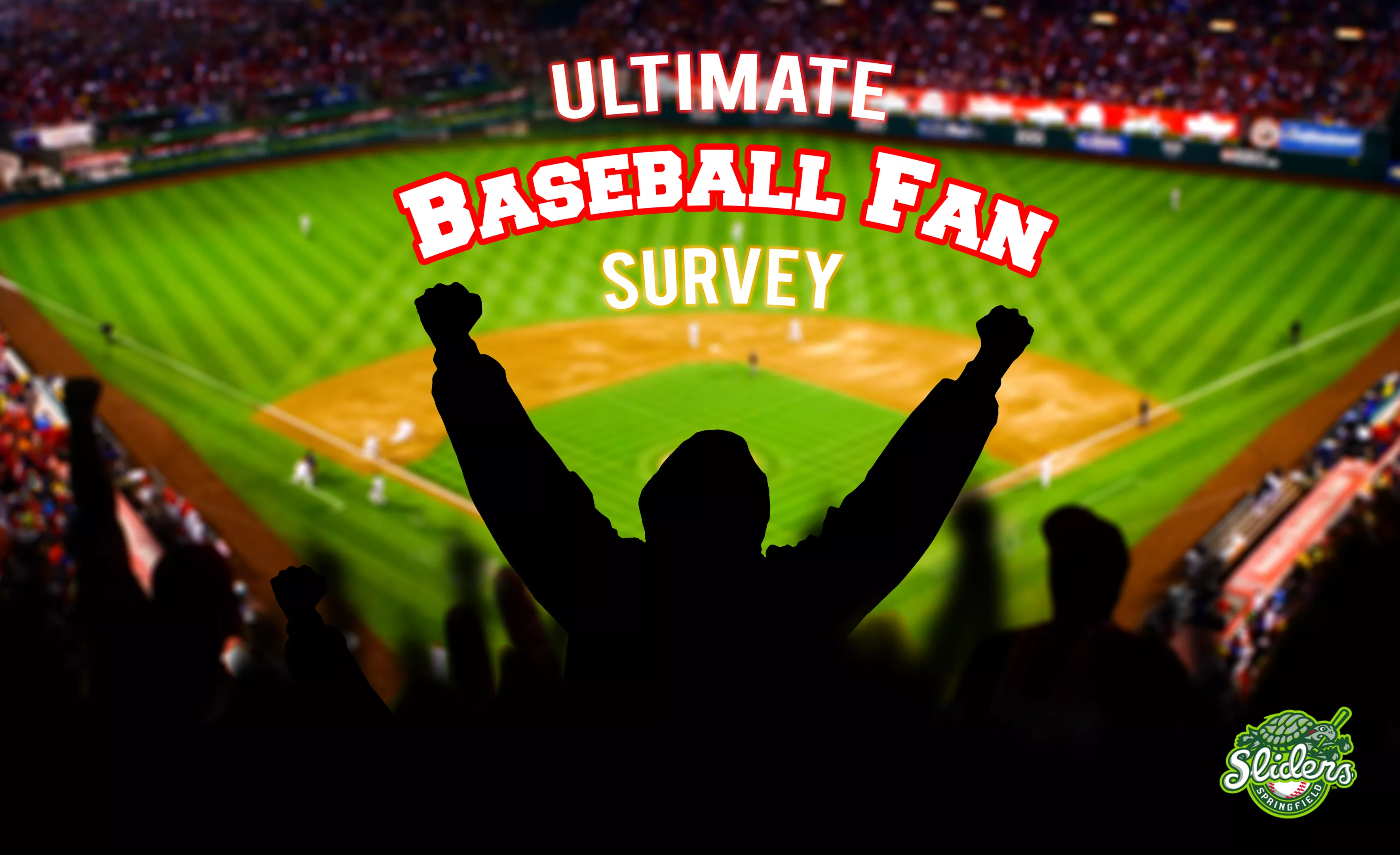 Springfield Sliders Ultimate Baseball Fan Survey Illinois Times