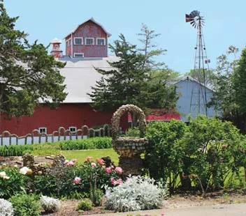 Travel Back In Time To Amish Country
