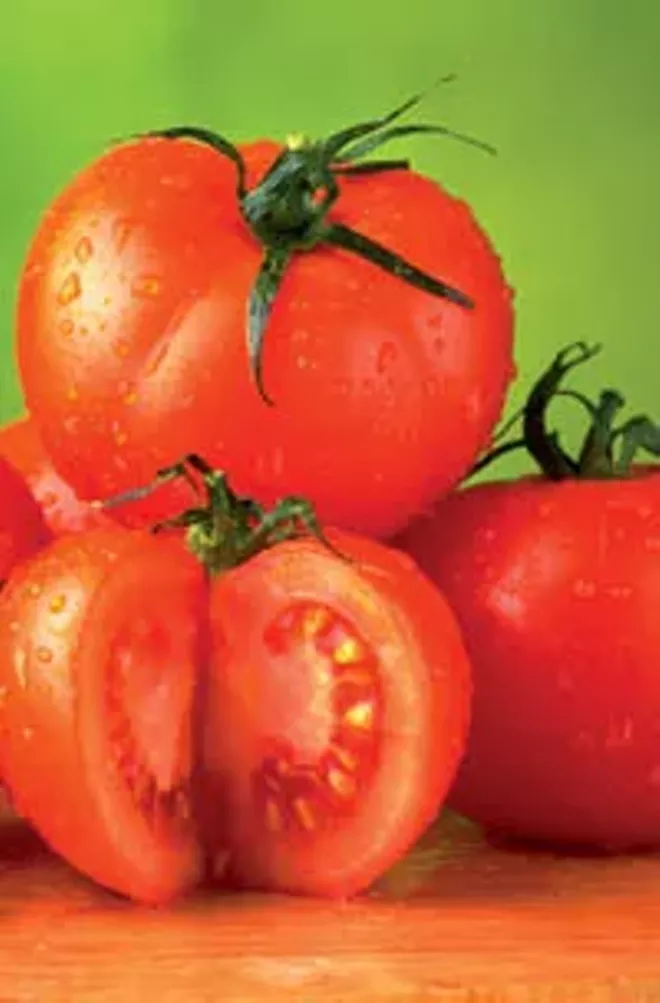 Tomatoplanting time Illinois Times