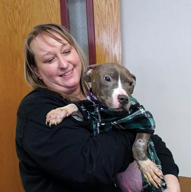 Dramatic changes at Sangamon County Animal Shelter - Vimarsana News