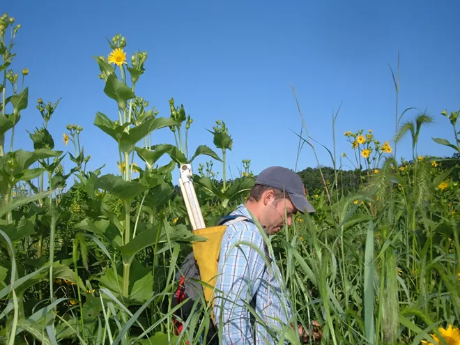 Wild Gardening - Vimarsana News