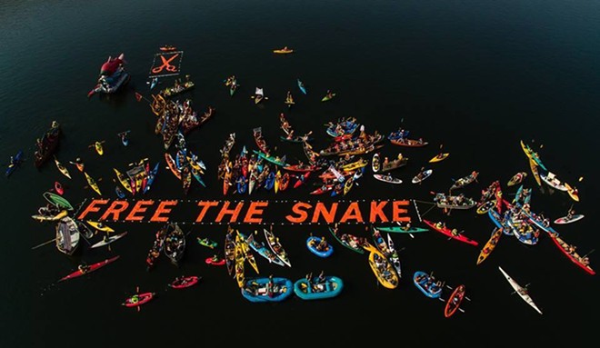 2015 Free the Snake Flotilla & River Recreation Day