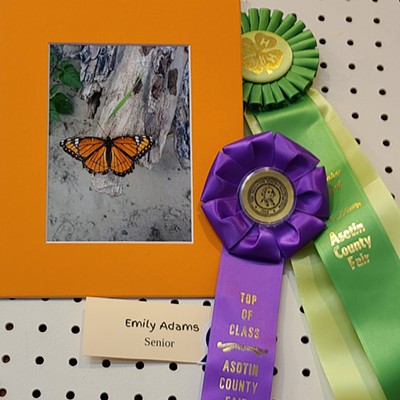 Emily Adams ribbons from Asotin County Fair 2021