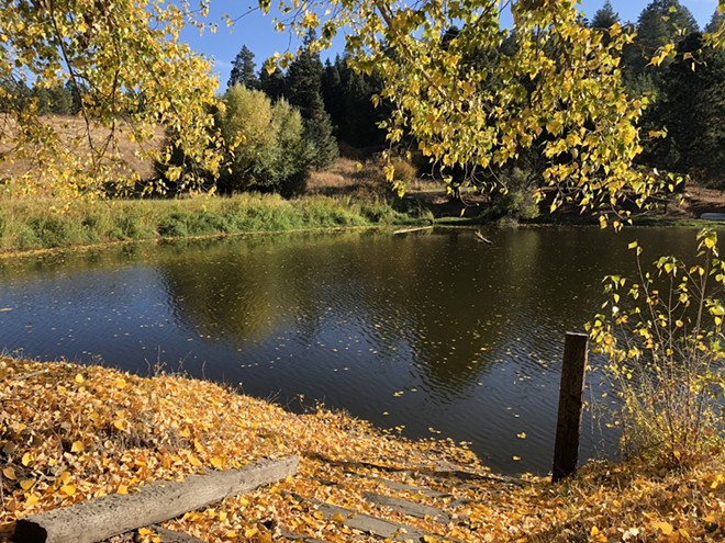 a golden pond.jpeg