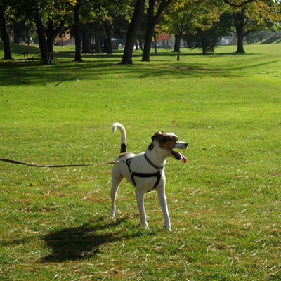 A great day at the park