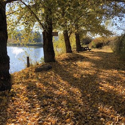 a path in fall.jpeg