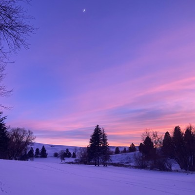 I took this photo on a late afternoon cross country ski during the January cold snap. I think it was zero degrees at the time. I was glad to have gotten out despite the cold. The sunset afterglow was amazing.