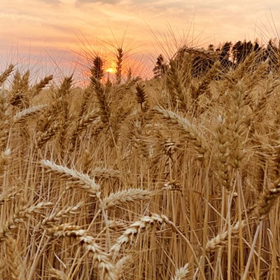 Sunset over the Palouse from the side of the road.
    8/19/20
    Melissa Mueller