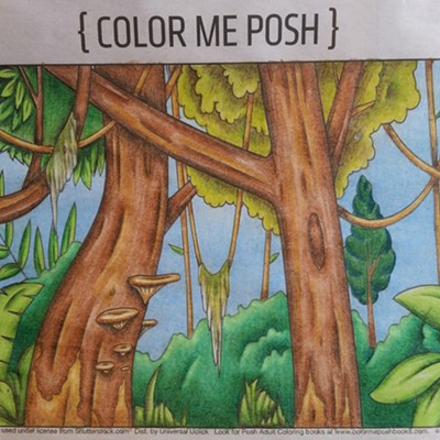 April 28: Color Me Posh - Mona Bashore