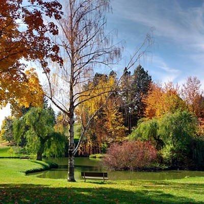This is at Sunnyside Park in Pullman, WA. Beautiful colors!