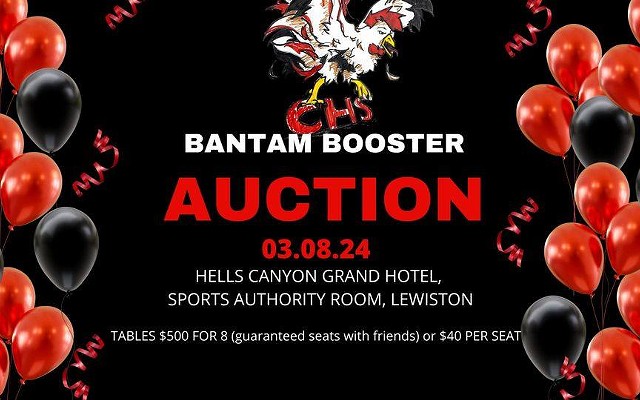 Bantam Boosters Auction