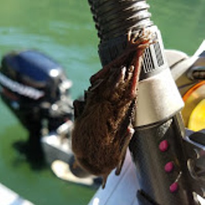 Fishing on Memorial day at Promontory Park, Oregon. Picture taken by Patrick Winters.