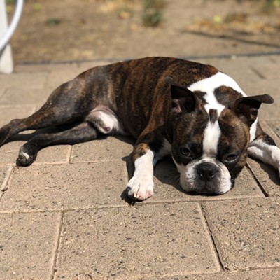 Age 3. Outside back porch in Moscow Idaho. Photo by Natasha Donner . August 2018