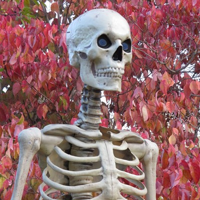 The upper half of a menacing, twelve-foot skeleton stands out against a backdrop of autumn leaves. The big, boney bad guy was part of Le Ann Wilson's outdoor Halloween decor. The photo was taken October 31 at Le Ann's home in Orofino.