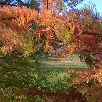 Taken by Jim Allen of Moscow, on Oct 6 at the UI&nbsp;Arboretum.
