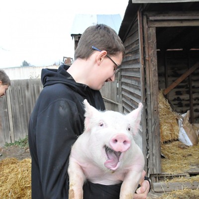 Brad Bailey of Clarkston, age 13, transports his happy 4-H pig to its new home in preparation for the Asotin Co. Fair in April.