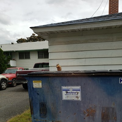 squirrel eating bread on the dumpster
    May 21, 2020
    Clarkston
    Glenna Coombs