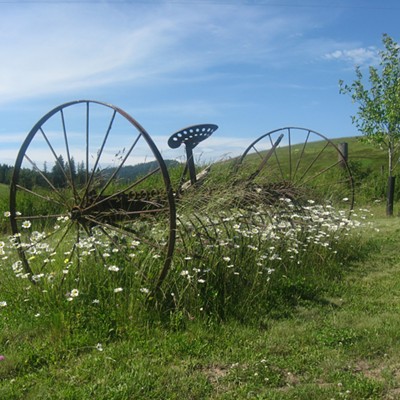 Bunch Rake at Katzenberger Farm