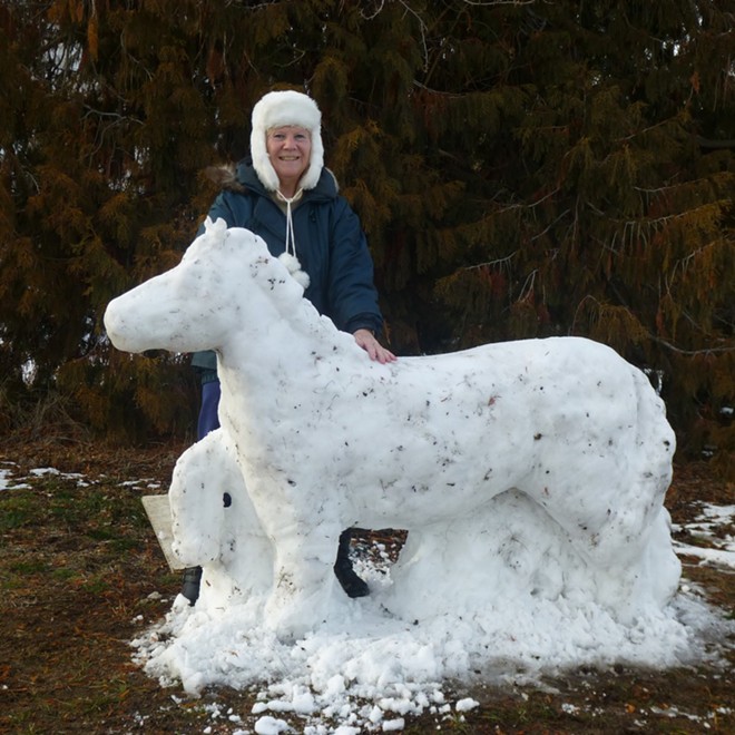 Check out the snow sculpture created by Jett Vallandigham of Clarkston following the February snowstorm in the valley.
