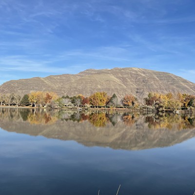 Taken from Highway 12 west of Clarkston on November 8, 2021.  The fall colors at Chief Timothy State Park are reflected in the Clearwater River on a calm morning.