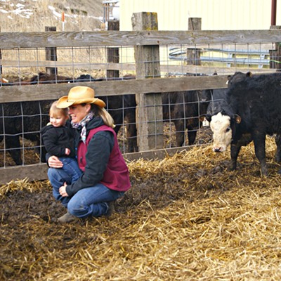 Lisa Wolff of Kendrick showing her grandaughter Charlie from Walla Walla, Washington (child of Morgan & Jordon Poynor) the cowgirl way. Taken on 3-11-18 in Leland, Idaho. Photo taken by Cindy Fliger.