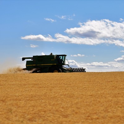 On August 21, 2020 Mary Hayward got this shot of a farmer cutting his wheat just south of Clarkston.
