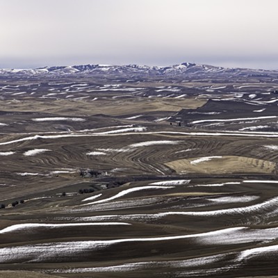 A view of the Palouse From the ridge on Kamiak Butte taken on December 18th , 2020, by Dave Ostrom