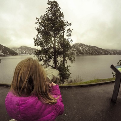 Avery Johnson, 7, of Hayden, was hoping to see some eagles on a day off from school. Photo at Higgins Point,&nbsp;Lake Coeur d'Alene, by Scott Brice of Hayden.