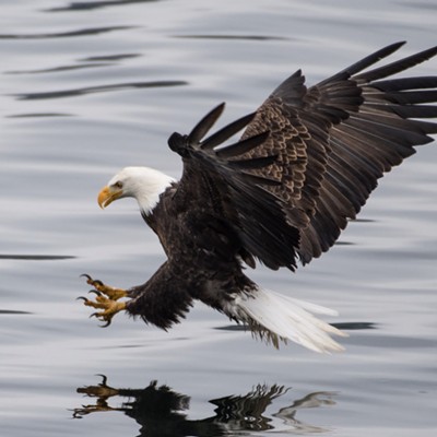 Taken 11/24 @ Lake Coeur D&#146;Alene by Nate Mattson of &#147;Mattson Photography by Nate Mattson&#148;