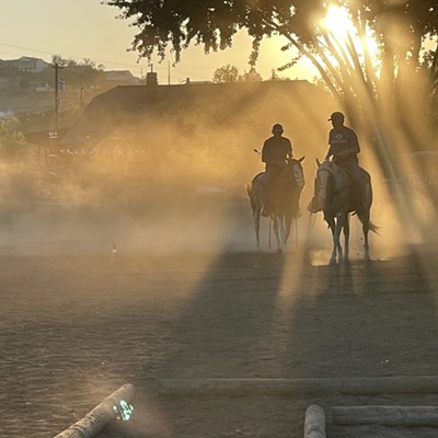 Evening Ride