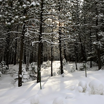 Driving up  Cloverland Road I noticed the sun back lighting the trees next to the road and high lighting the snow covered trees. The sun was fading quickly and I was lucky to get this shot of fading beauty. By Jerry Cunnington 2/23/ 2023.