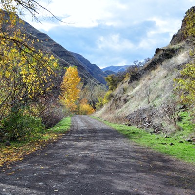 Driving up Joseph Creek near the Grande Round River, I marveled the beauty of the are before I stopped it in time. By Jerry Cunnington, 10/16/2016