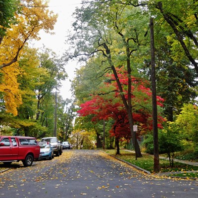 Colors of Fall on North Polk Street in Moscow, ID. on October 17, 2017 by Keith Gunther