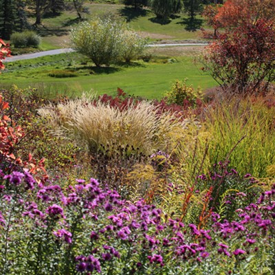 An array of fall colors on display in Lawson Gardens which are made even more spectacular in contrast to the green grass of the meadow there. Photo taken on October 3, 2018 at Lawson Gardens in Pullman, WA by Keith Collins.
