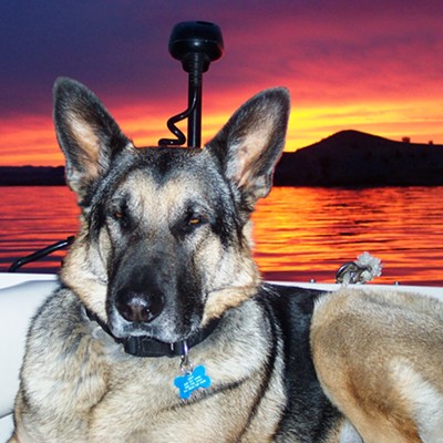 Fishing with my dog on Lake Havasu Az. It was about 5:00 am and he was sleeping on the job and I woke him up to take this picture.
