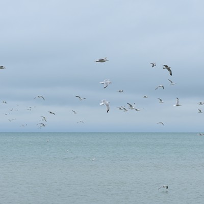 Gulls take flight at Lake Michigan in October.