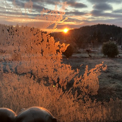 Sunrise is cold and crispy. The frost creeps up our window reflecting the flaming pink with the overnight temperature dropping low on Thursday, October 23, 2020.
    Photo by David Purtee. East of Moscow on Brood Road. Now lets get the coffee on!