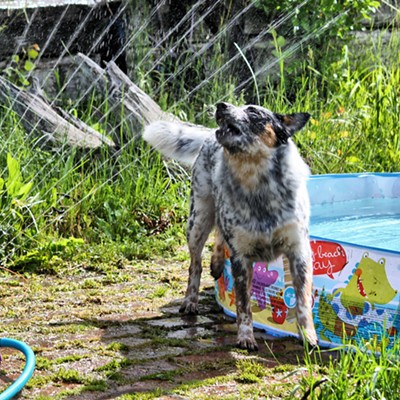 Ani Blue loves playing in the water!