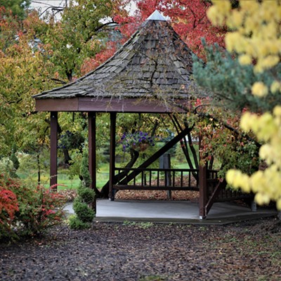 The beginning colors of fall around the gazebo at Lawson Gardens, Pullman, WA. Keith Collins took this picture on September 28, 2019.