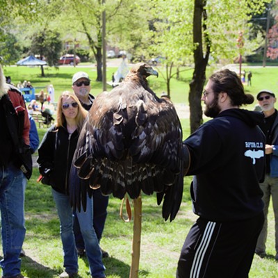 At the Renaissance Fair in Moscow, this handler was showing off this Golden Eagle for people to see. Captured by Mary Hayward of Clarkston May 7, 2017.
