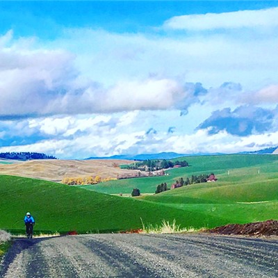 Taking a spring ride on the Palouse-Albion Road. Taken on April 7, 2018. Leisa McCormick is shown riding up the hill. Craig McCormick took the shot. Both are Pullmanites.