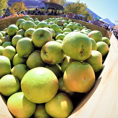 We went to Wilson Banner Ranch and I loved the amount of green apples they had to offer. Taken October 20, 2018 by Mary Hayward of Clarkston.
