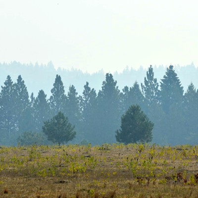 The haze from nearby fires created an interesting picture on McCormick Ridge.