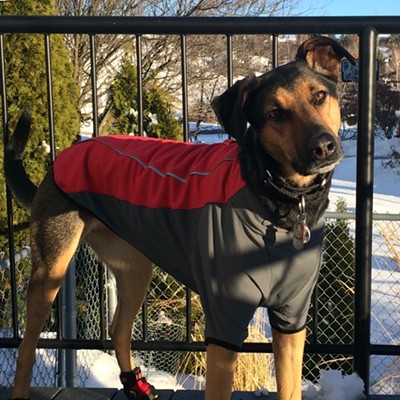 Holly staying warm in her sporty winter coat and boots. Submitted by Karin Clifford of Moscow.