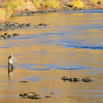 Saw this lone fly fisherman below Heller Bar. The light was sending beautiful reflections on the water and on the hill sides. As he made his cast to a likely place for a fish, I was able to catch his line as it went to it's target. 
11/224/2021    By Jerry Cunnington