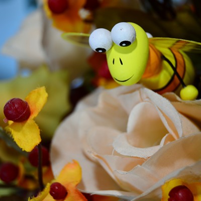 One more of Buzz the Friendly Bee.  By Jerry Cunnington, 11/1/2021.