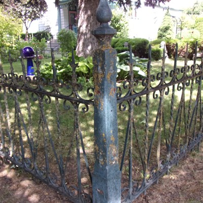 iron fence 1